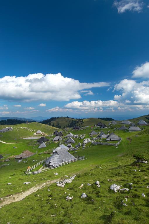 Chalet Zlatica Velika Planina Stahovica Exterior photo